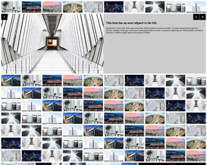XPANDA - Responsive Gallery Content Expander Plugin