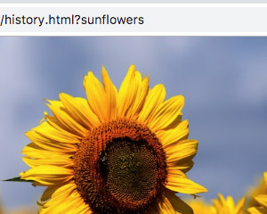 XPANDA - Responsive Gallery Content Expander Plugin