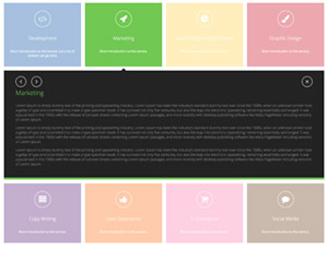 XPANDA - Responsive Gallery Content Expander Plugin